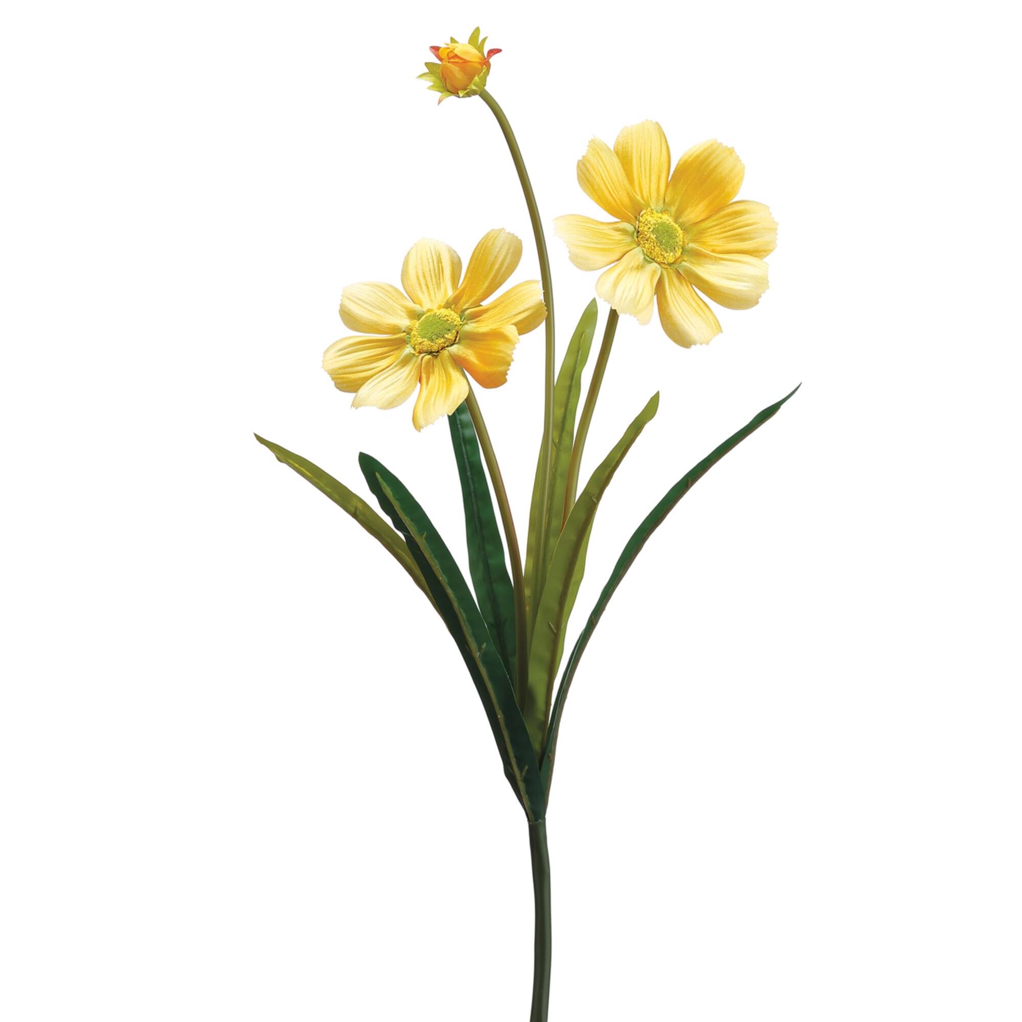Yellow Gazania Daisy Spray, 12ct.